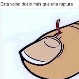 Pack N°5 Memes [Memes]