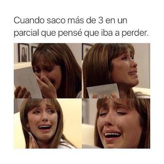 Pack N°5 Memes [Memes]