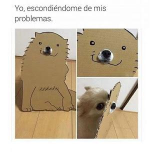 Pack N°4 Memes [Memes]