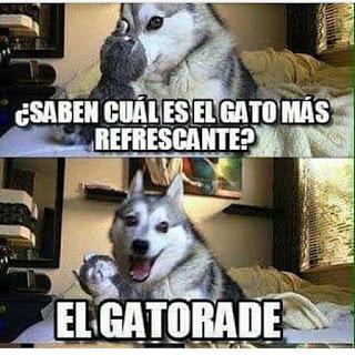 Pack N°4 Memes [Memes]