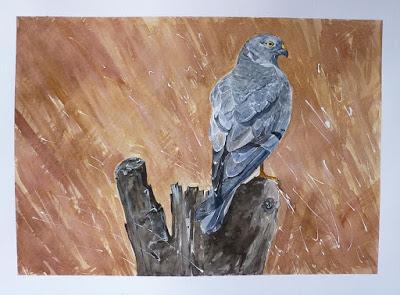 Arte y Naturaleza - Esther Charles Jordán