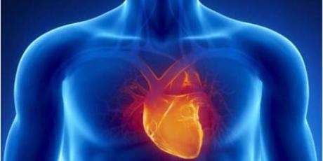 Tres  alimentos vegetales  que protegerán tu corazón