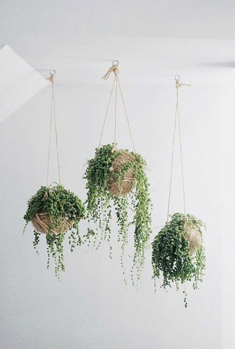 Deco: Cactus y palmeras, ideas para dar vida a tu salón