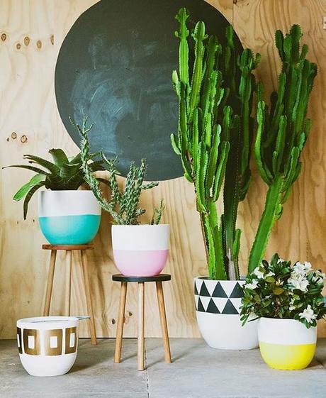 Deco: Cactus y palmeras, ideas para dar vida a tu salón