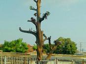 Todo negro. Negro luto