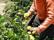 Miércoles mudo #153: Primavera