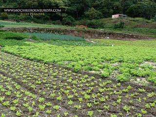 Ruta Los Fortines del Ávila al atardecer Ruta Los Fortines del Ávila al atardecer