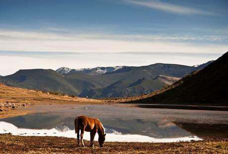 En invierno. Autor, Ken Mitchell