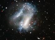 tortuosa interacción