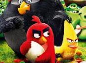 [RCi] Angry Birds