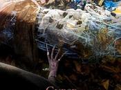 Curse Sleeping Beauty