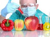 Lista roja alimentos transgénicos
