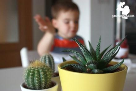 Se está gestando un hermano mayor hermano mayor