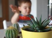 está gestando hermano mayor