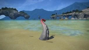 FFXIV_Screenshot_PUB_Pach3_1464195158.3_23_26.05