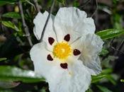 Entornos extremeños...