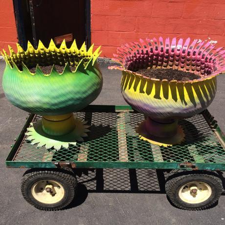 tumblr_o6d2tpptdL1qi67djo1_500