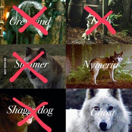 Los lobos de 'Juego de Tronos'