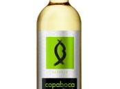 Copaboca Verdejo 2015