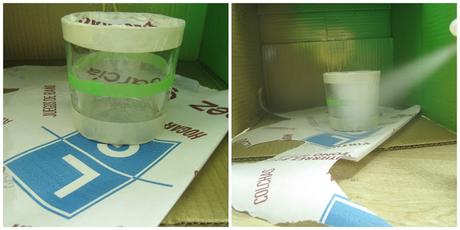 DIY: FLOREROS EN BLANCO Y NEGRO