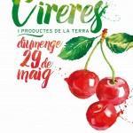 Fira-cireres-300x300