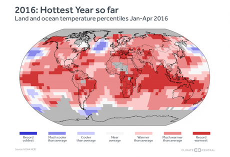 Existe 99% de posibilidades de que 2016 sea el año más caliente en la historia climatológica