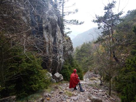 De Campdevànol a Ribes de Freser por el Taga