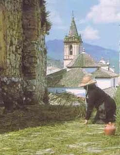 Uno de los 15 Corpus más bonitos de España, 29.05.16, Zahara de la Sierra...