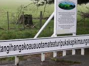 Taumata....85 caracteres topónimo largo mundo, encuentra en......?