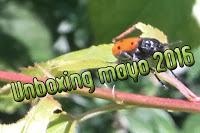 Unboxing Mayo 2016