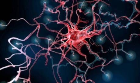 REPROGRAMACIÓN DE CÉLULAS CEREBRALES