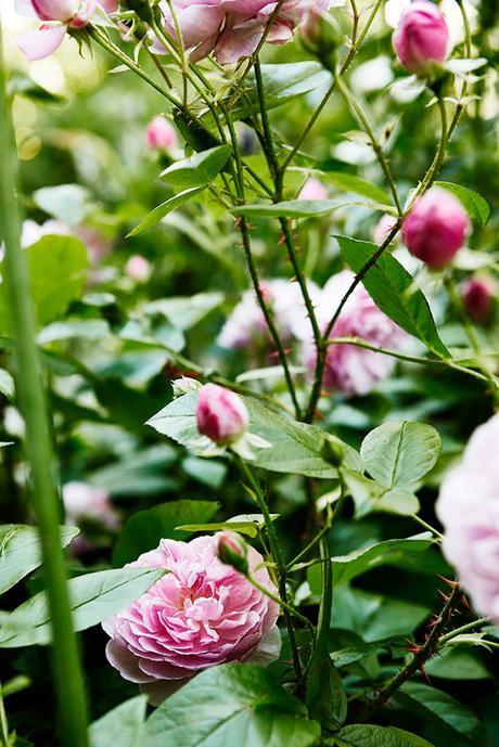 INSPIRATIONAL MONDAY #29 INSPIRATIONAL MONDAY #29