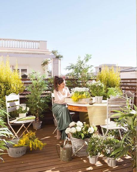 terraza con plantas