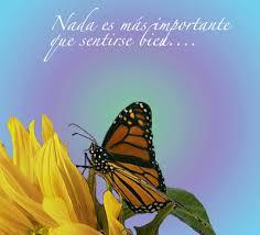 6 ALIMENTOS QUE TE QUITAN EL HAMBRE