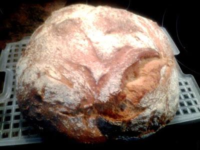 EMPERADOR CON SALSA DE LIMON  CILANTRO  Y ALCAPARRAS