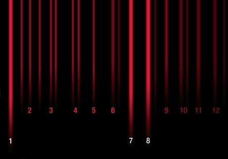 Reseña: Reiniciados, Amy Tintera