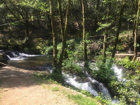  photo IMG_2600_zpsvds2jklw.jpg