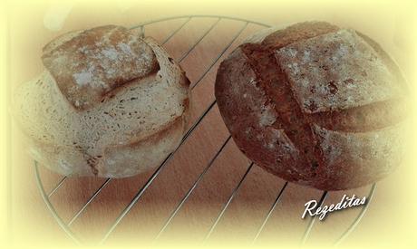 PAN SIN GLUTEN I+D