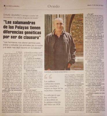 Hoy nos vamos al cine a ver a las salamandras Hoy nos vamos al cine a ver a las salamandras