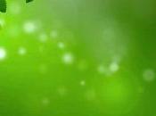 Cómo dejar roncar hierbabuena