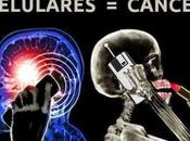 Teléfonos celulares riesgo cáncer