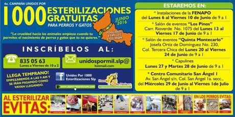 1000 estirilizaciónes