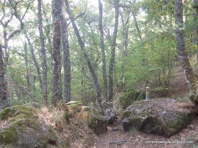 PARQUE NATURAL DEL LAGO DE SANABRIA