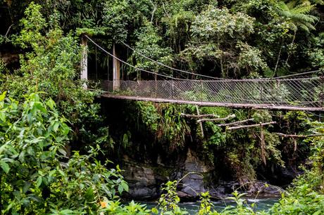 Parque Nacional Cotapata: montañas, horizontes y cascadas