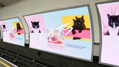 Esta iniciativa quiere cambiar la publicidad del metro de Londres por fotos de gatitos