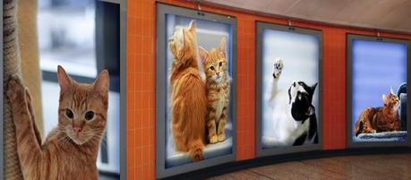 Esta iniciativa quiere cambiar la publicidad del metro de Londres por fotos de gatitos