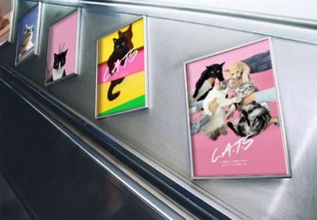 Esta iniciativa quiere cambiar la publicidad del metro de Londres por fotos de gatitos