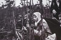 Inauguración de la exposición Caminos del exilio