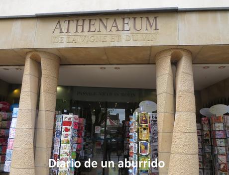 Los Hospicios de Beaune en Borgoña. Capítulo 2, por las rutas de Provenza y Borgoña