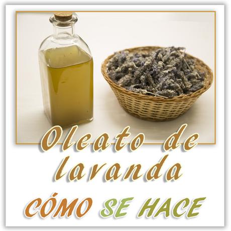 OLEATO DE LAVANDA